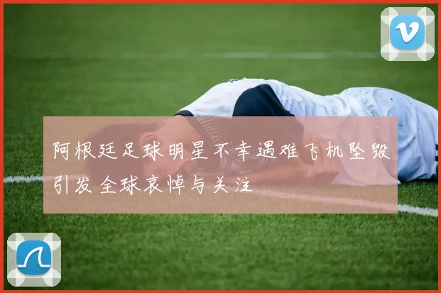 阿根廷足球明星不幸遇难飞机坠毁引发全球哀悼与关注