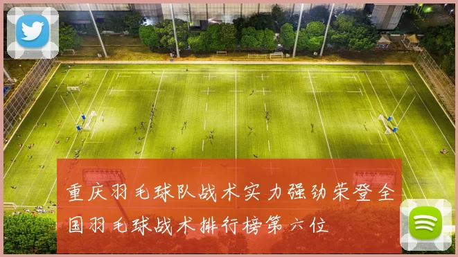 重庆羽毛球队战术实力强劲荣登全国羽毛球战术排行榜第六位
