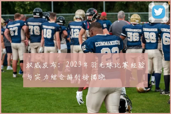 权威发布：2023年羽毛球比赛经验与实力综合排行榜揭晓