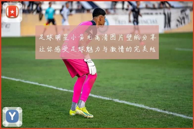 足球明星小黄毛高清图片壁纸分享让你感受足球魅力与激情的完美结合