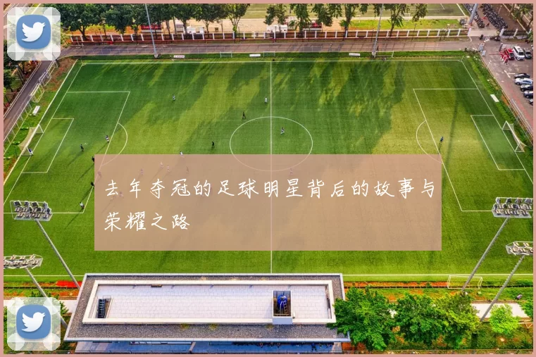 去年夺冠的足球明星背后的故事与荣耀之路