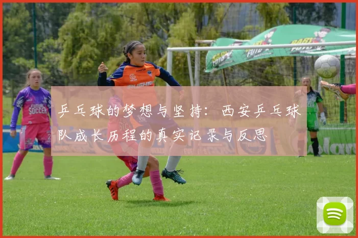 乒乓球的梦想与坚持：西安乒乓球队成长历程的真实记录与反思