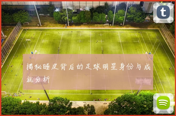 揭秘睡皮背后的足球明星身份与成就分析