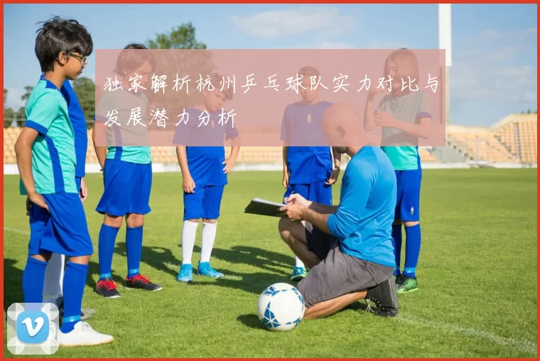 独家解析杭州乒乓球队实力对比与发展潜力分析