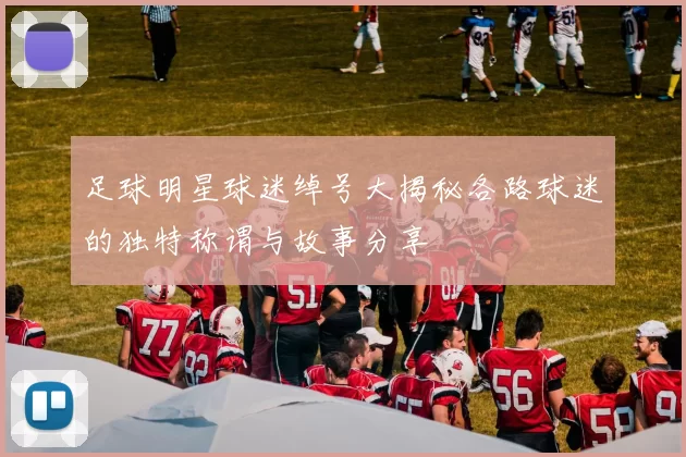 足球明星球迷绰号大揭秘各路球迷的独特称谓与故事分享