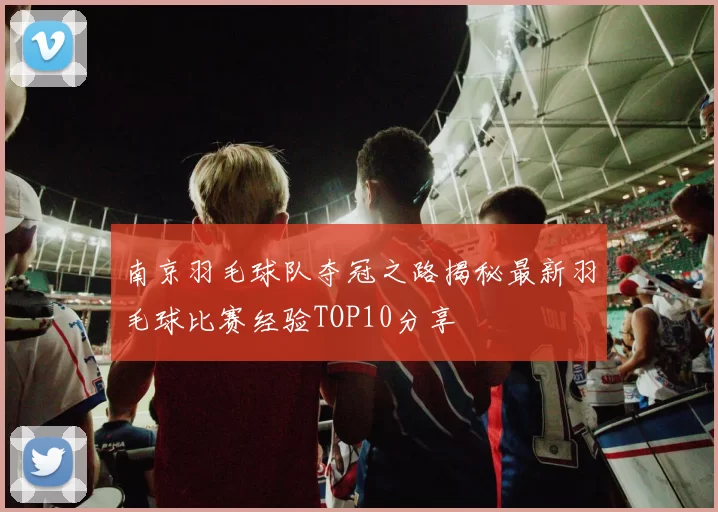 南京羽毛球队夺冠之路揭秘最新羽毛球比赛经验TOP10分享