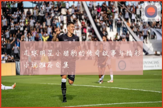足球明星小猎豹的传奇故事与精彩小说推荐合集