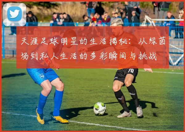 天涯足球明星的生活揭秘：从绿茵场到私人生活的多彩瞬间与挑战