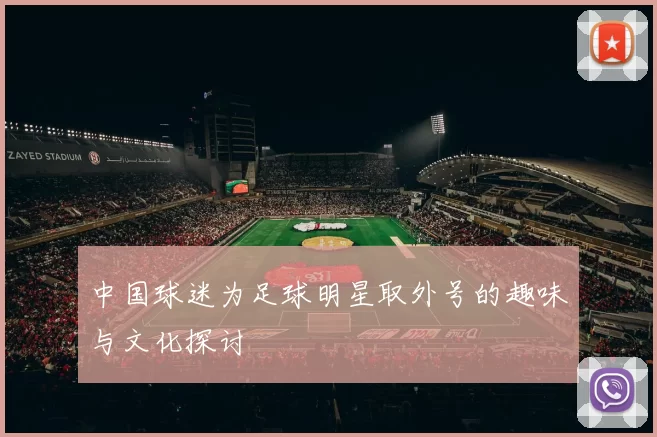 中国球迷为足球明星取外号的趣味与文化探讨